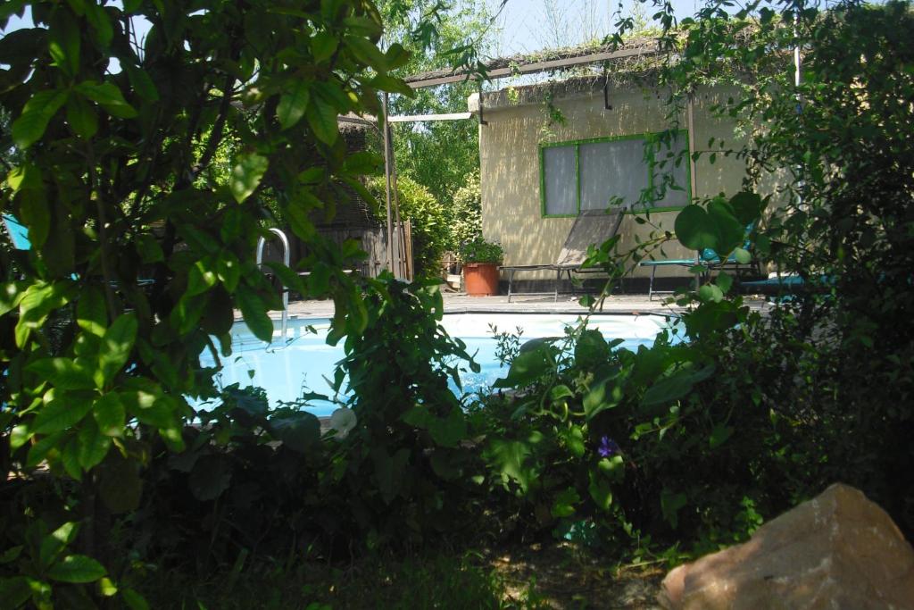 uma piscina num quintal com árvores em Le cortassien Lou mas li pitchoun em Gordes