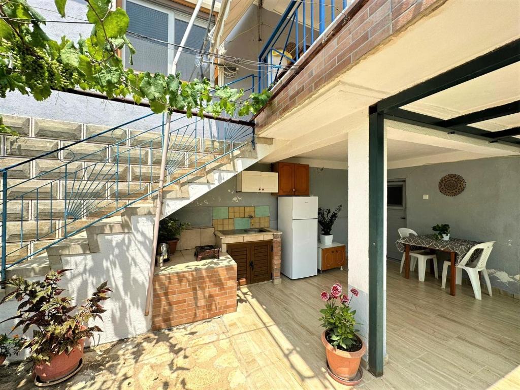 Boungainvillea - Image 5