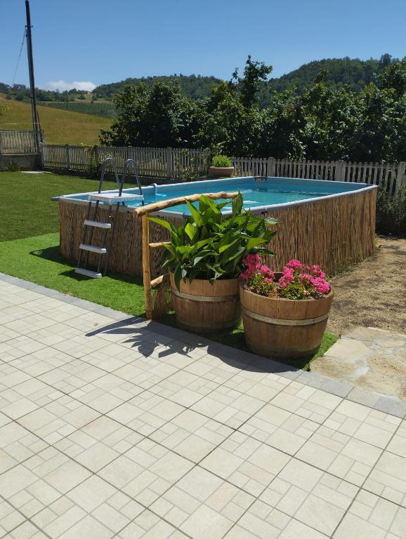 two pots of plants in front of a swimming pool at Taoretto 1 in Serravalle delle Langhe