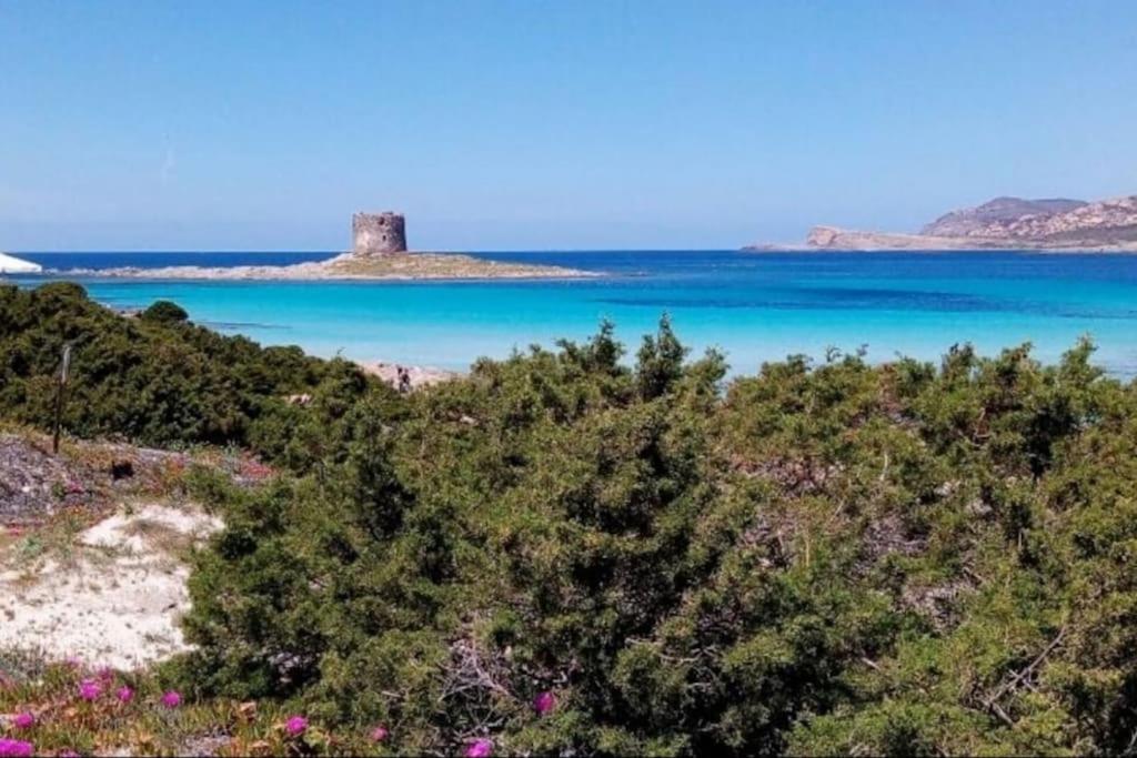 an island with a lighthouse in the middle of the water at ClickSardegna Villa Regina Stintino sea view with pool and garden in Cuile Pazzoni