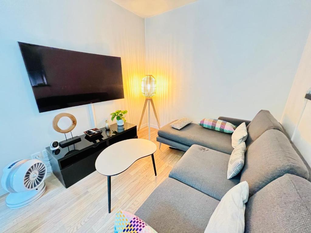 a living room with a couch and a flat screen tv at Appartement de Standing Aux Portes de Paris in Nogent-sur-Marne
