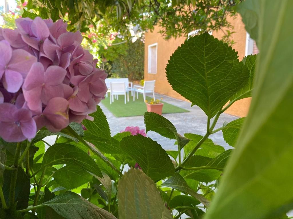 a garden with purple flowers and a table and chairs at L’Ortensia in Chia