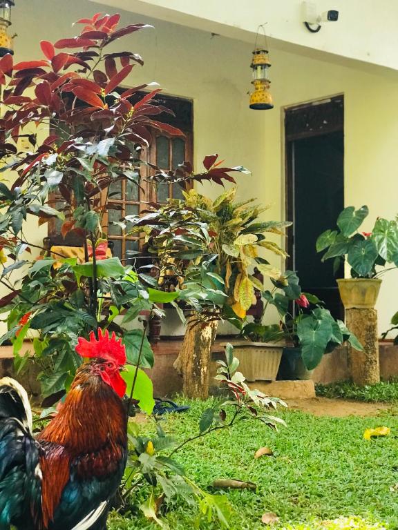 Zahrada ubytování Sigiri Lakshan Home Stay