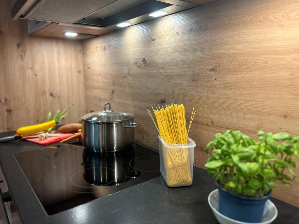 Kuchyň nebo kuchyňský kout v ubytování Ferienwohnung Tux