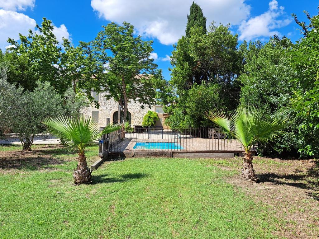 une cour avec deux palmiers et une piscine dans l'établissement Mas en Provence chez Coba, à Graveson