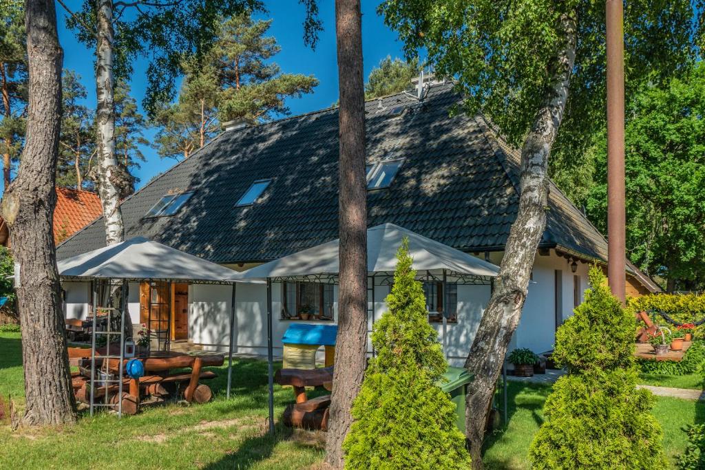una casa en el bosque con árboles en Lesna Chata, en Jarosławiec