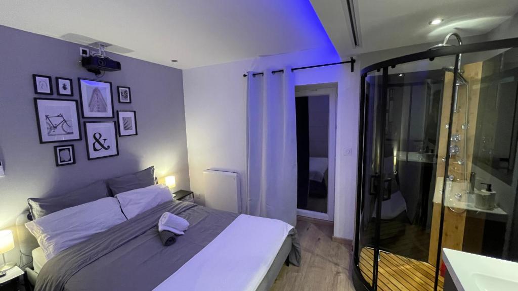 1 dormitorio con 1 cama y ducha acristalada en Bienvenue chez vous "appartement classé 2 étoiles en RDC avec espace extérieur et parking", en Dole