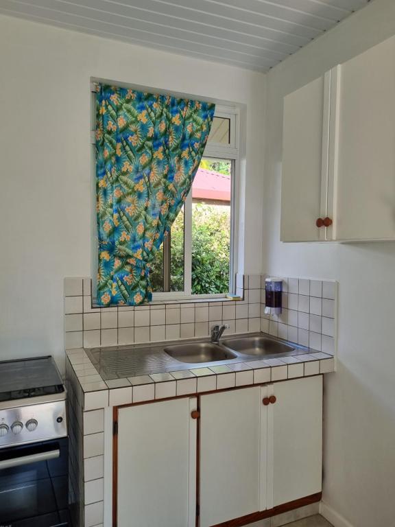 Kuchyň nebo kuchyňský kout v ubytování Pension ANAPA LODGE - MOOREA