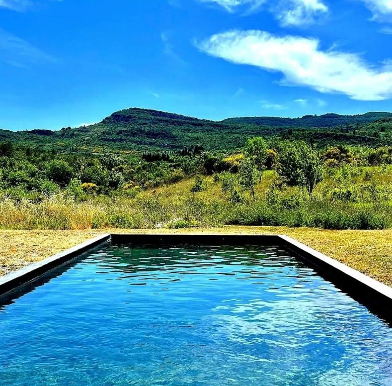 - une piscine d'eau bleue dans un champ dans l'établissement Piano apartment, à Taurize