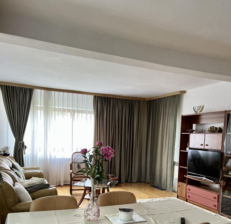 a living room with a couch and a tv at Apartament Confort - Baile Olanesti in Băile Olăneşti