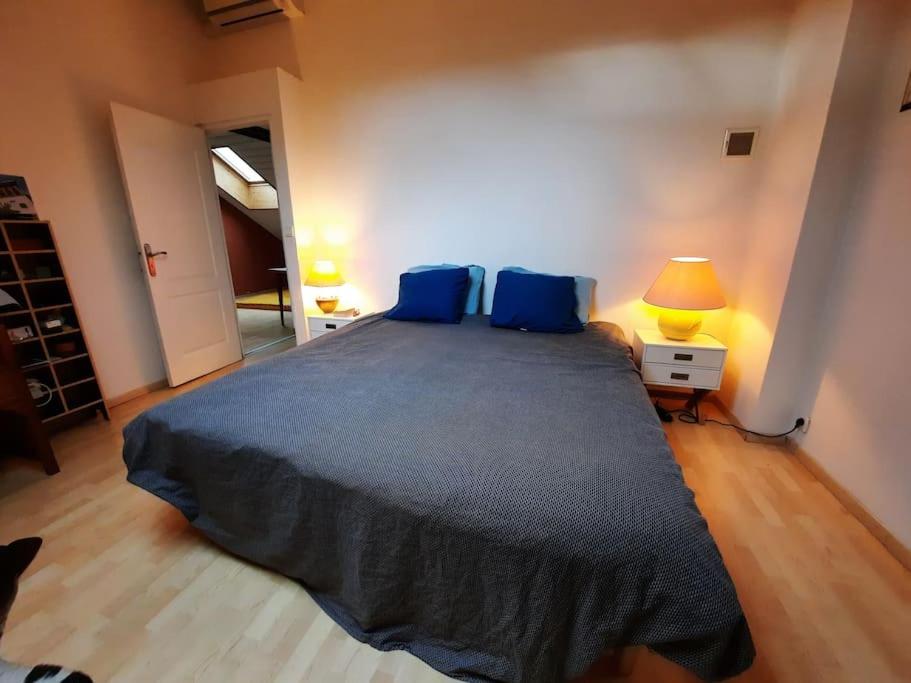 Posteľ alebo postele v izbe v ubytovaní IRON MAN offer a villa located right on the river