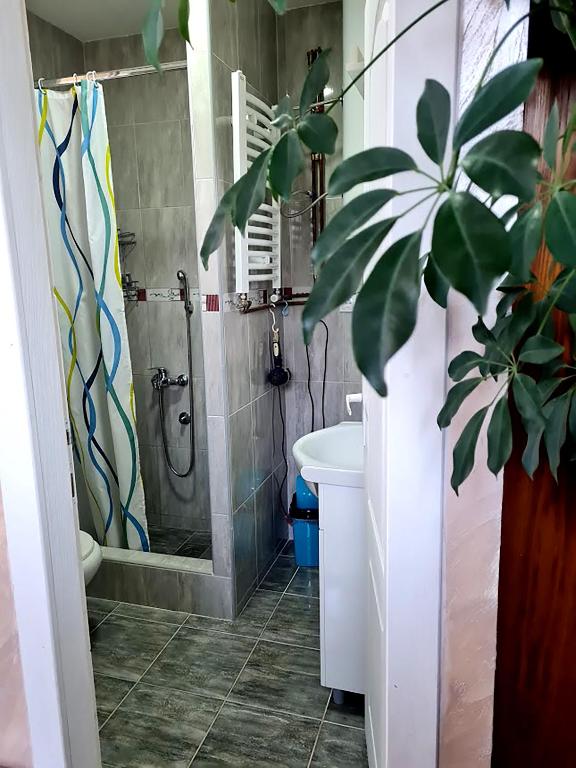 Koupelna v ubytování Apartman Juga
