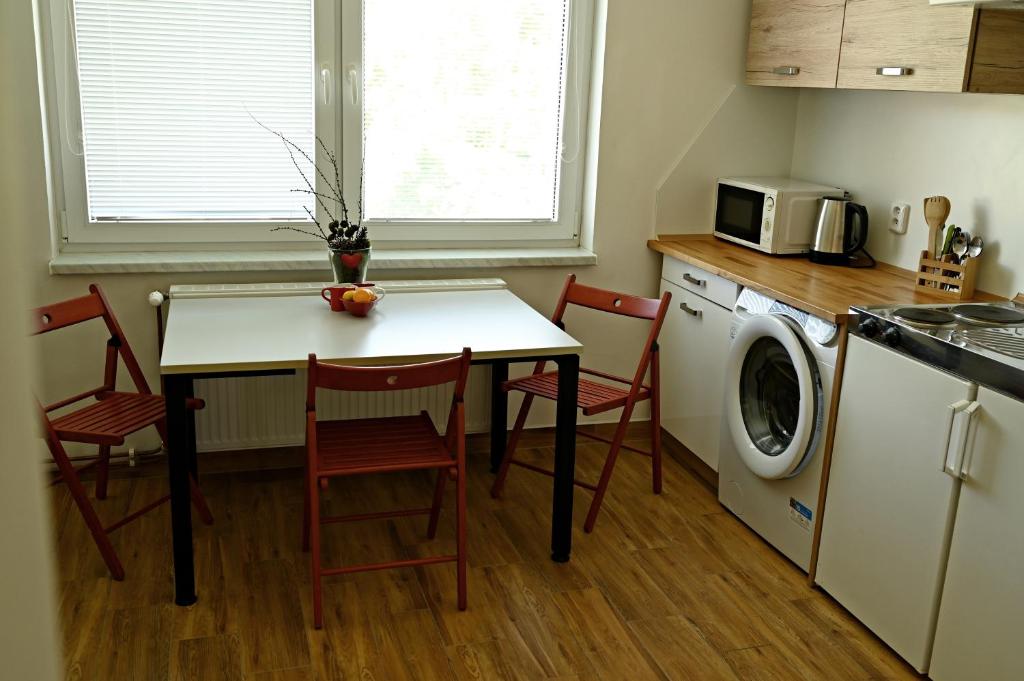 Kuchyň nebo kuchyňský kout v ubytování Apartmány Bolevec Plzeň pro rodiny s dětmi a zvířátky