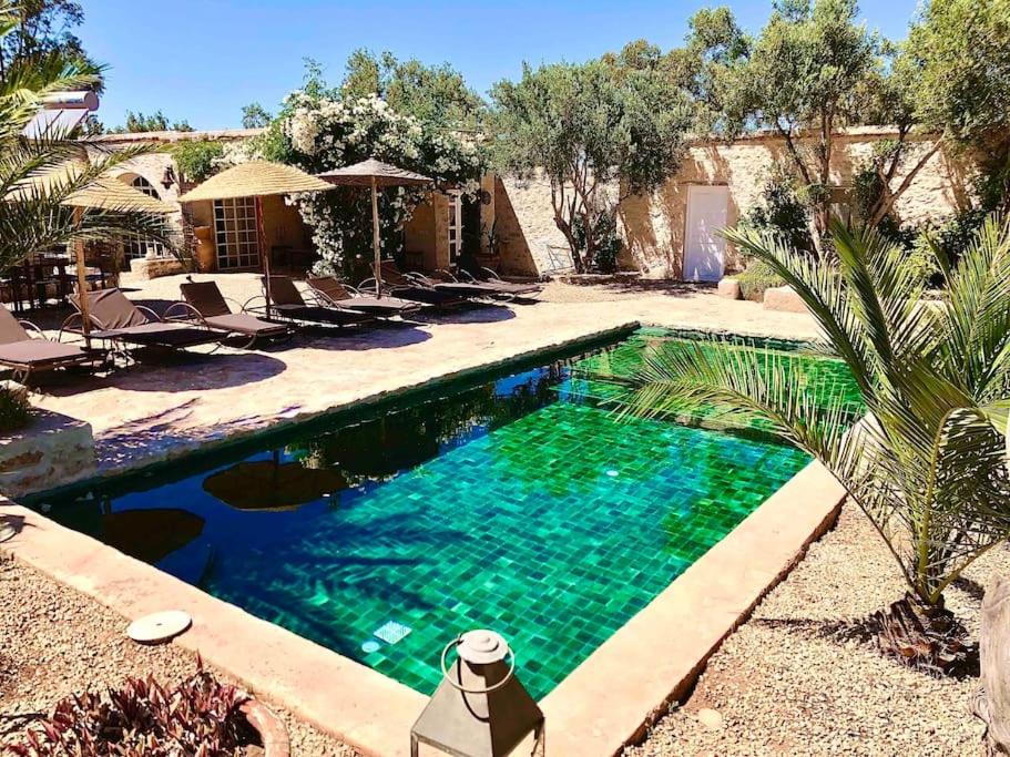 a swimming pool with blue water in a yard at Villa Oleya Belle demeure nature in Essaouira