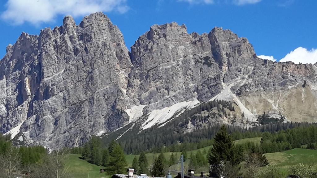 Une grande montagne avec des arbres devant elle dans l'établissement Ca' dello Scoiattolo, à Cortina dʼAmpezzo