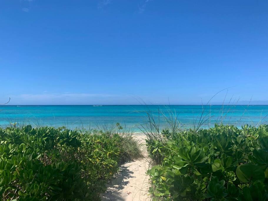 einen Sandstrand mit dem Ozean im Hintergrund in der Unterkunft Beach'nBarefoot (Love Beach) - nestled on the beach in Orange Hill