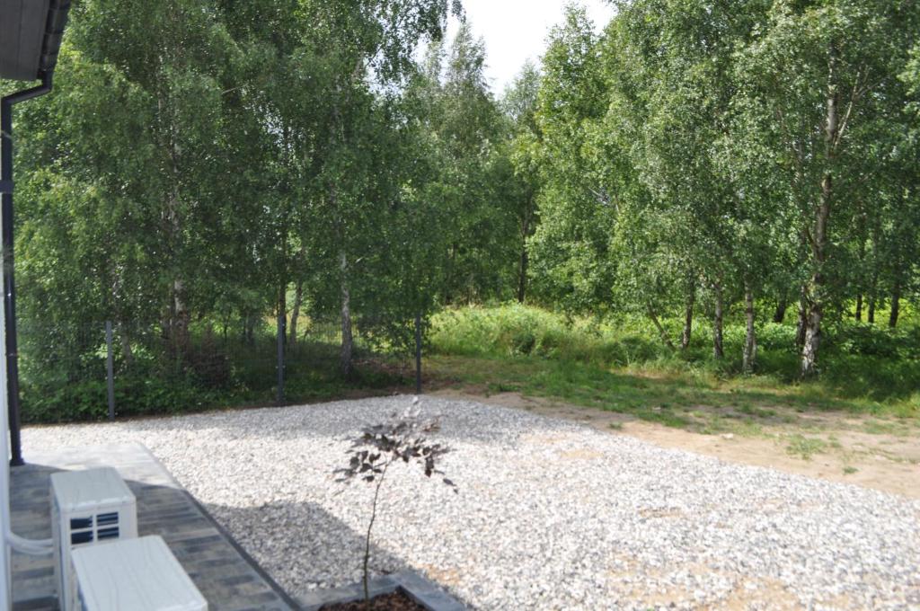 a garden with two white benches and trees at Apartament 4 Pory Roku in Darłowo