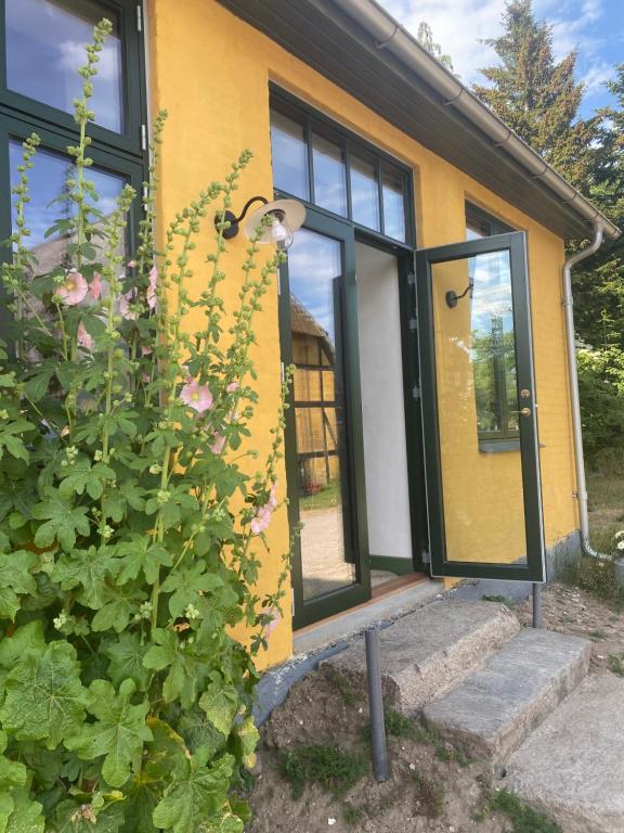 a yellow house with black windows and a plant at Gamle Præstegård in Fåborg