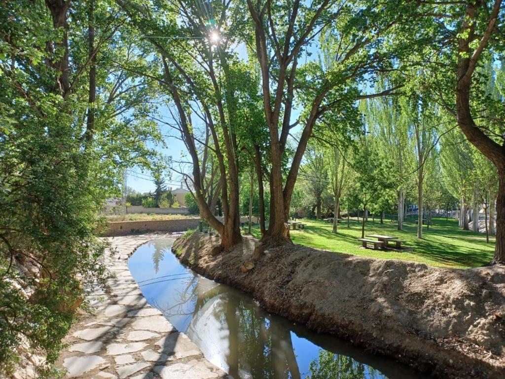 a stream in a park with trees and a bench at LA CASA DEL CAMINO DEL PUERTO in Chirivel