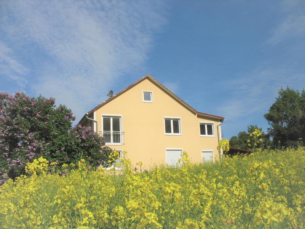 a house in the middle of a field of flowers at Haus Landlust in Edersee