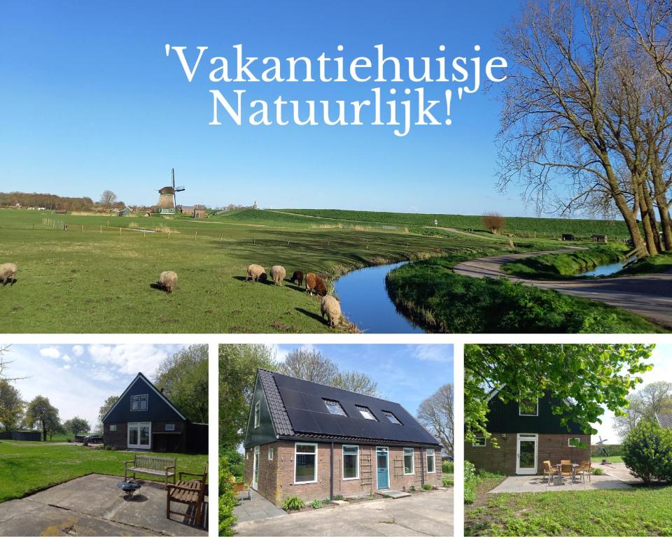 een collage van foto's van een boerderij met een huis bij 'Vakantiehuisje Natuurlijk! - nabij molen, meer, strand & stad' in Hoorn