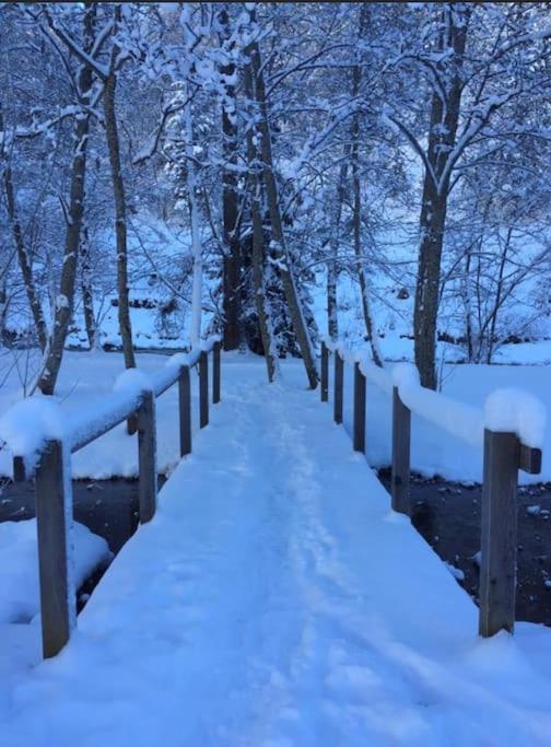 a snow covered path in a forest with trees at Chaleureux studio plein sud en Tarentaise ! in Bozel
