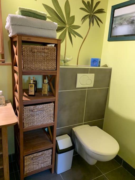 a bathroom with a toilet and a shelf with towels at Chaleureux studio plein sud en Tarentaise ! in Bozel