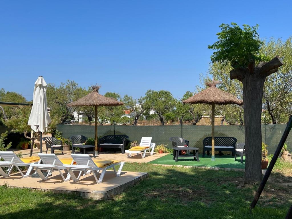 a group of chairs and umbrellas in a yard at Quinta dos Viegas in Faro