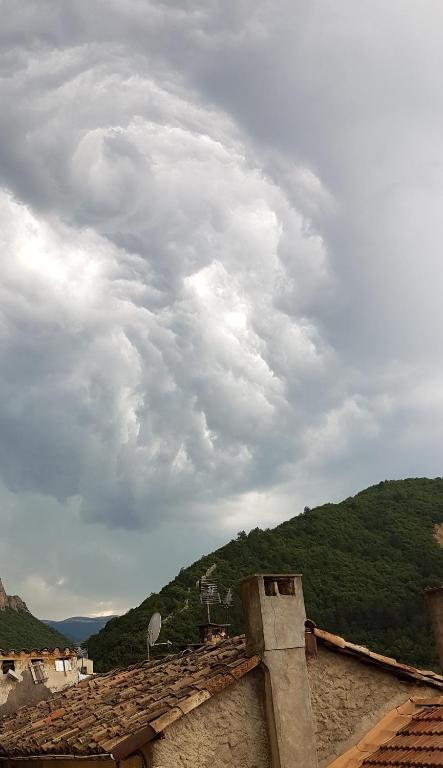 Příroda nedaleko apartmánu