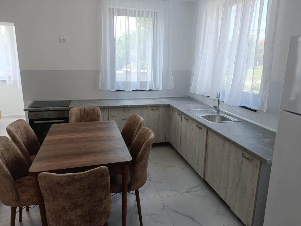 uma cozinha com uma mesa e cadeiras e um lavatório em Casa Venus em Sânmartin