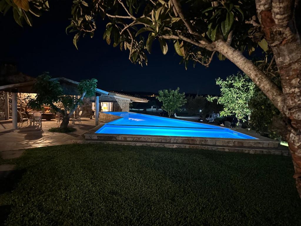 a blue swimming pool in a yard at night at Quinta do Nobre in Marialva
