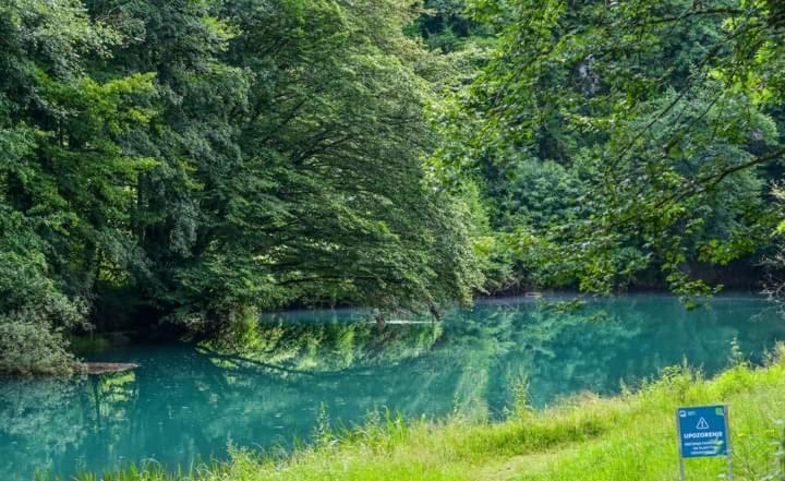 Príroda v okolí apartmánu