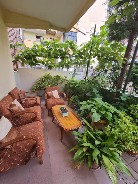 Topciu's Lake Appartments - Imazhi 6