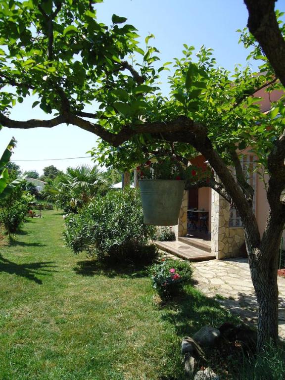a tree in a yard next to a house at Studio Apartment Nera in Rovinj