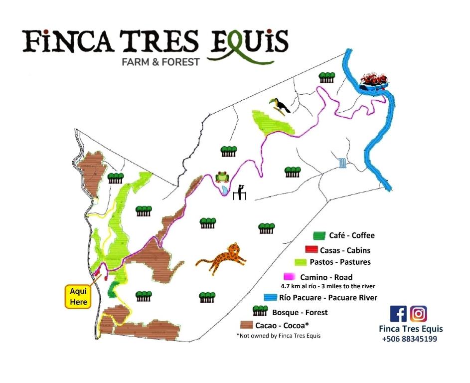 Certifikát, hodnocení, plakát nebo jiný dokument vystavený v ubytování Finca Tres Equis - Farm and Forest