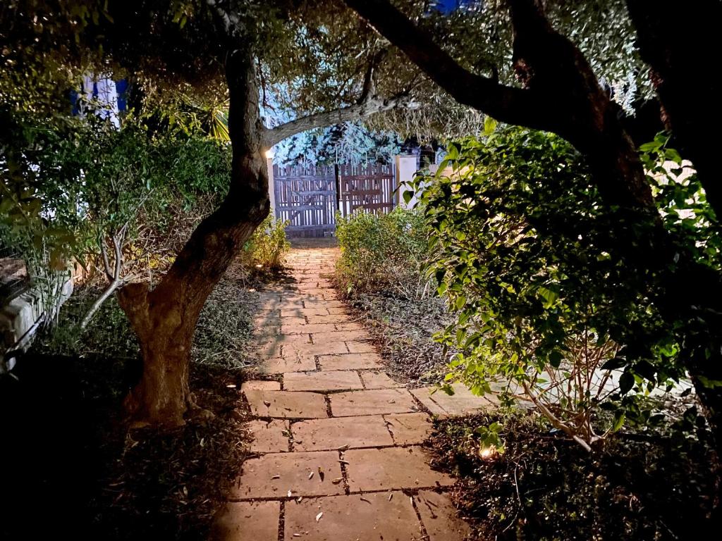 a stone path through a garden with a tree at Salenti..amo in Pulsano