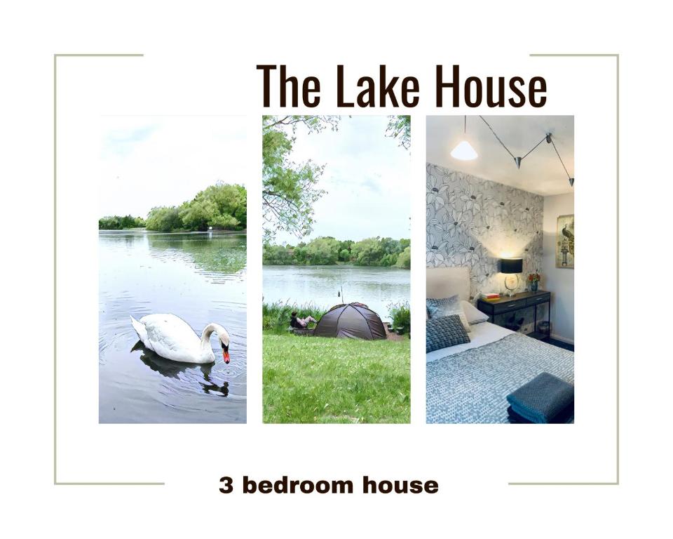 tres fotos de una casa del lago y un cisne en el agua en The Lake House, Woking, en Woking