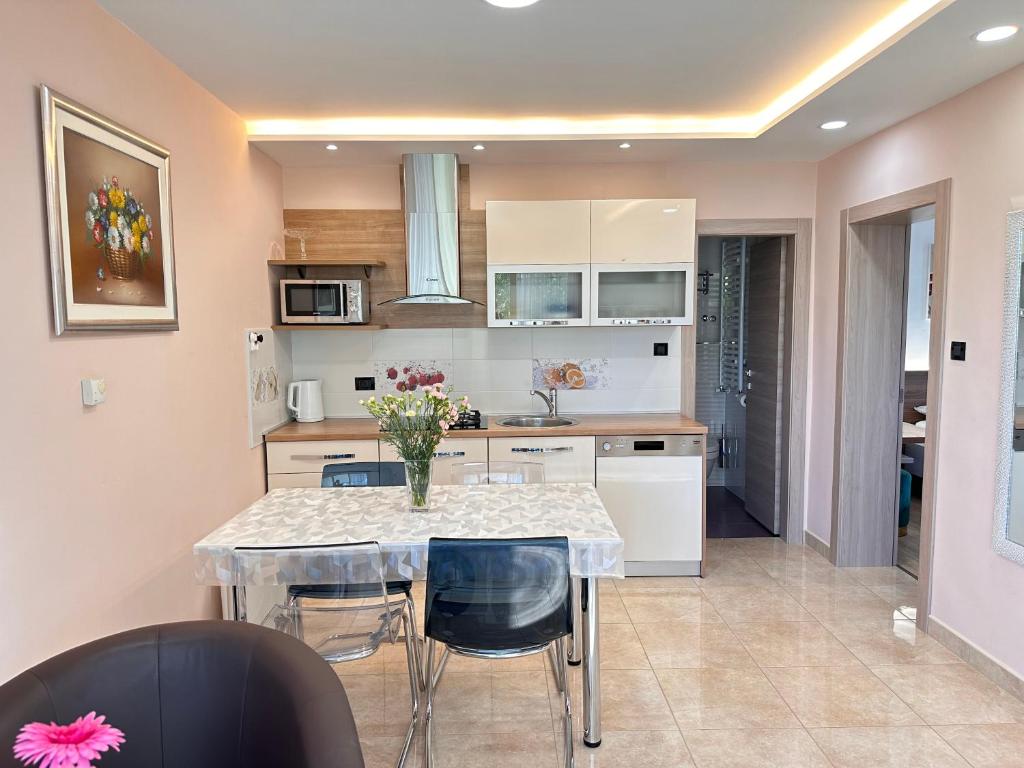 Kuchyňa alebo kuchynka v ubytovaní Apartment Pančur