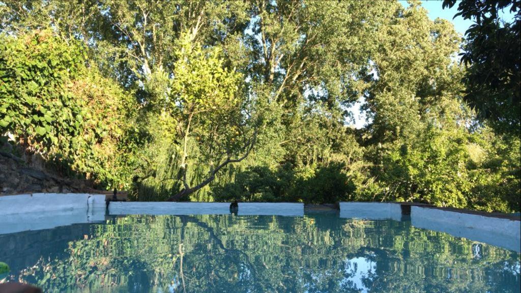 The swimming pool at or close to Casa Rural El Riandero