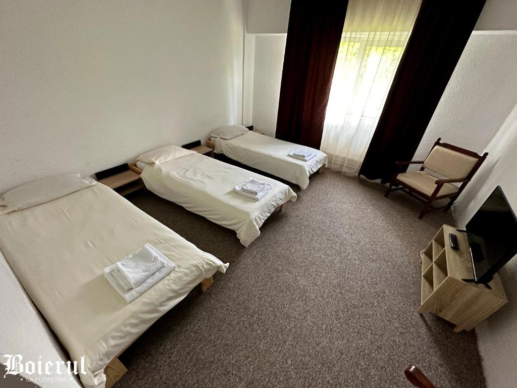 Postel nebo postele na pokoji v ubytování Boierul la Florenta