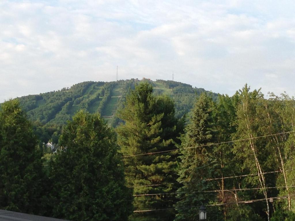 Příroda nedaleko apartmánu