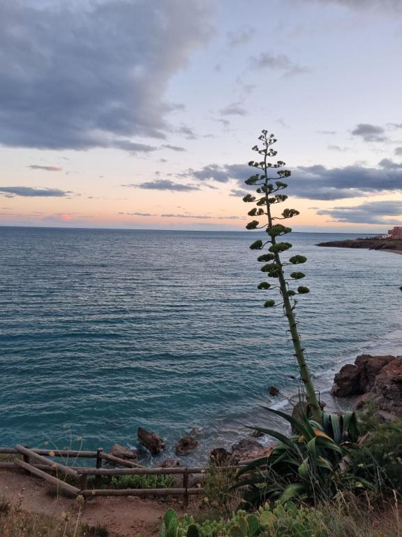 Paisaje cerca de este apartamento