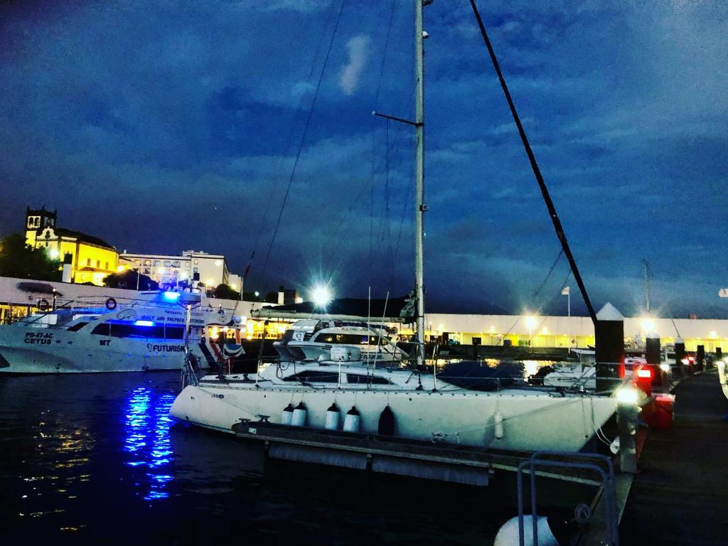 un grupo de barcos atracados en un puerto por la noche en Casa Veleiro SHALOM, en Ponta Delgada
