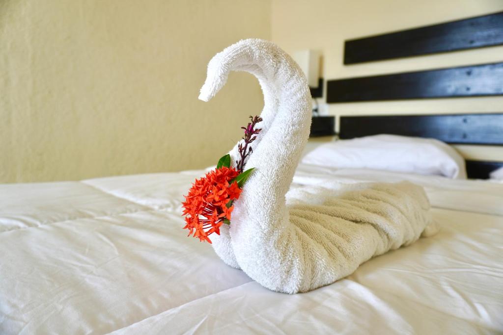 Ocean View Hotel and Restaurant - Chambre Double Standard