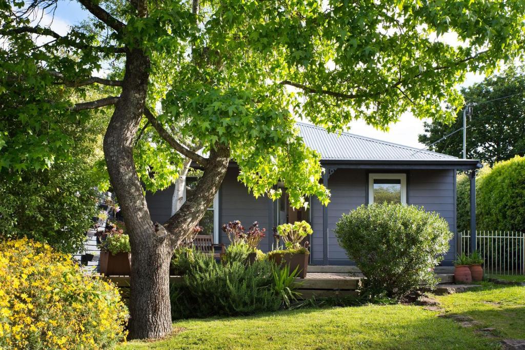 a grey house with a tree in the yard at Absolute in Daylesford
