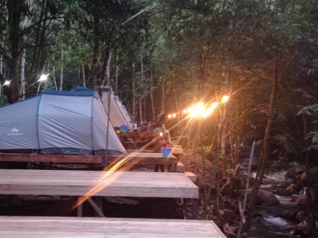 una mesa de picnic con una tienda en un bosque por la noche en Malaris Adventure Camp, 