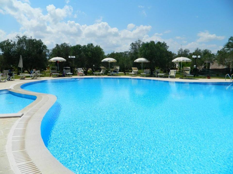 uma grande piscina azul com cadeiras e guarda-sóis em Agriturismo Masseria Baronali em Borgagne