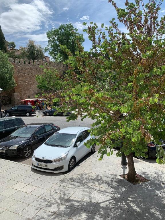 Fotografia z galérie ubytovania Vega del Tajo- CON PARKING GRATIS v destinácii Toledo