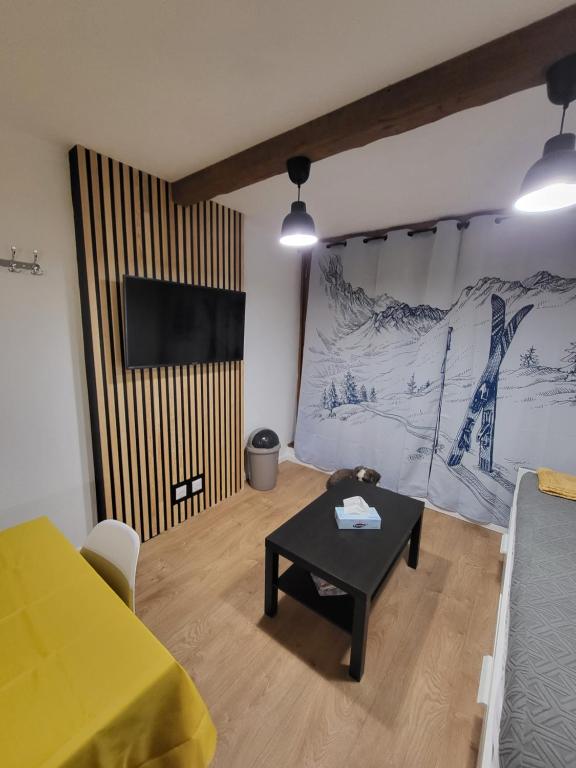 Televízia a/alebo spoločenská miestnosť v ubytovaní Appartements pied des pistes - Résidence Mongie - Tourmalet