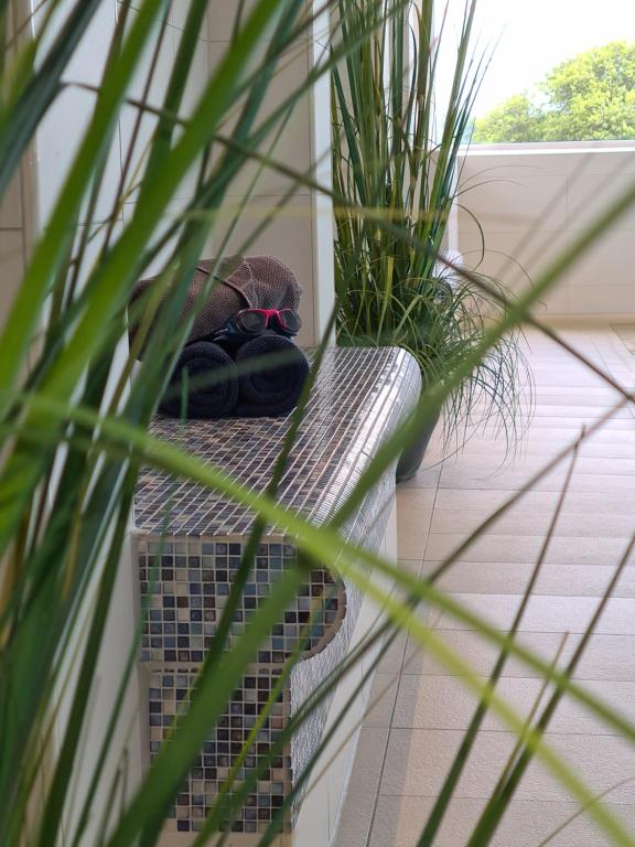 Zahrada ubytování Terrassenhaus Duhnen Wohnung 77